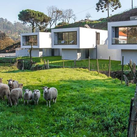 Viana Do Castelo - Amonde Village - Casa L - Disfrute Da Natureza Exterior photo